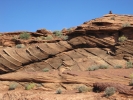 PICTURES/Horseshoe Bend - Page/t_Striated2.jpg
